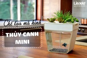 Hướng dẫn cách chế tạo mô hình trồng rau thủy canh mini