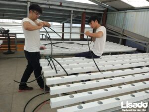 Vì sao cần dùng ống nhựa vuông khi trồng rau?