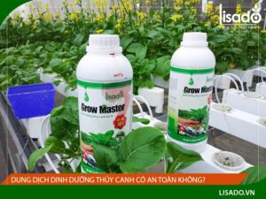 Dung dịch thủy canh có an toàn không?