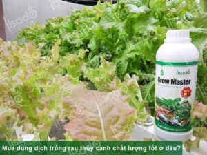 Mua dung dịch trồng rau thủy canh chất lượng, giá tốt ở đâu?