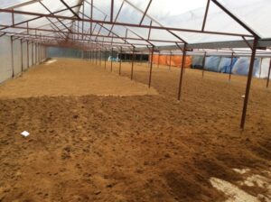 Gợi ý cách xử lý giá thể trồng rau thủy canh