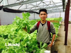 Khởi nghiệp từ trồng rau thủy canh khó hay dễ?