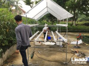 Công trình trồng rau sạch thủy canh nhà cô Mai – Láng Hòa Lạc