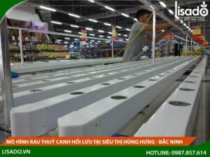 Mô hình rau thuỷ canh hồi lưu tại Siêu thị Hùng Hưng – Bắc Ninh
