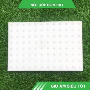 Mút xốp ươm hạt Lisado Seed Sponges