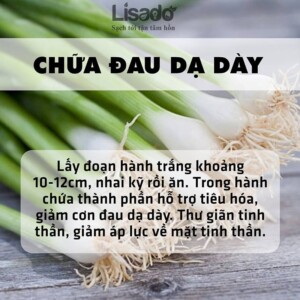 Trồng rau sạch tại nhà: rau gì tốt cho tiêu hóa?