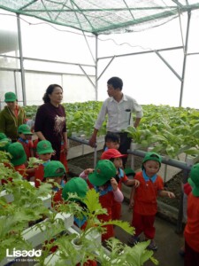 Đưa mô hình trồng rau thủy canh sạch vào các trường học