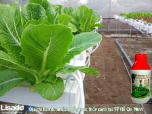 Địa chỉ bán dung dịch thủy canh tại TP Hồ Chí Minh