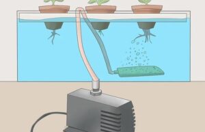 Làm thế nào để xây dựng một hệ thống thủy canh tại nhà?