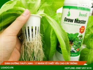 14 nguyên tố dinh dưỡng thiết yếu trong dung dịch thủy canh