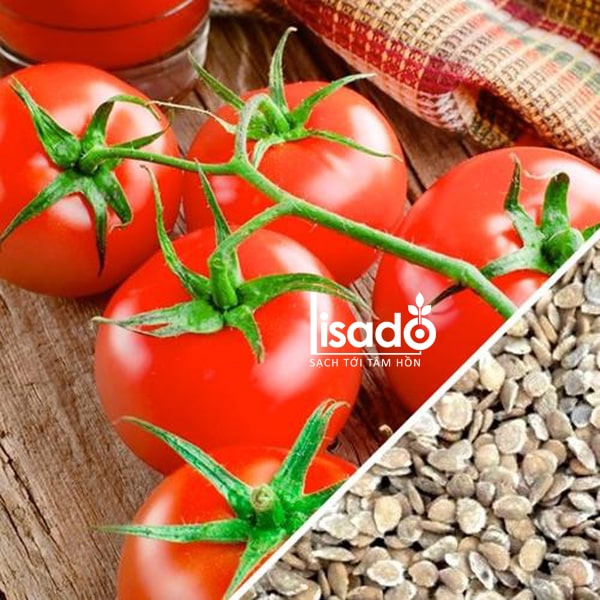 Предпосевная обработка семян томатов