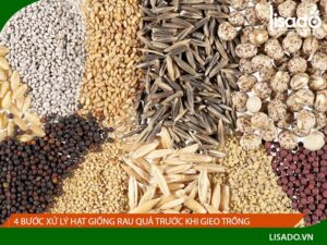 Ngâm hạt giống trước khi trồng liệu có cần thiết ? – Chia sẻ của chuyên gia
