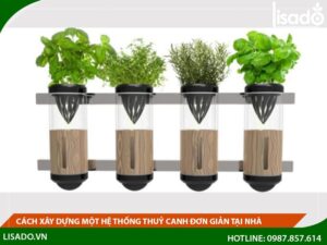 Cách xây dựng một hệ thống thuỷ canh đơn giản tại nhà