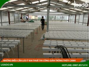 Những điều cần lưu ý khi thuê thi công giàn trồng thủy canh