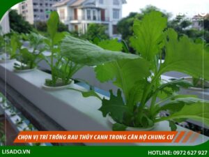 Chọn vị trí kệ trồng rau ban công chung cư