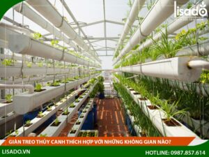 Hệ thống giàn treo thủy canh thích hợp với những không gian nào?