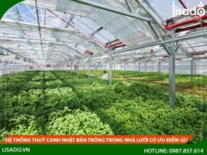 Hệ thống trồng rau nhà kính ở nhật bản có ưu điểm gì?
