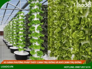 Phương pháp trồng rau khí canh trụ đứng là gì ?