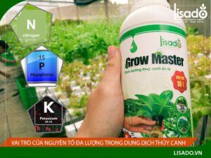 Vai trò nguyên tố dinh dưỡng đa lượng trong dung dịch thủy canh