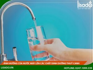 Cách khử clo trong nước máy để tưới cây