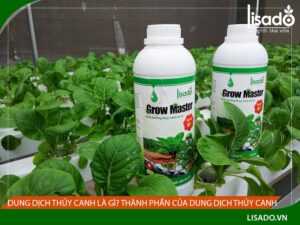 Dung dịch thủy canh là gì? Thành phần của dung dịch thủy canh