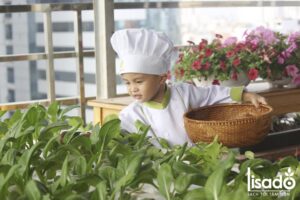 Ăn rau trồng bằng phương pháp thủy canh có ngon không?