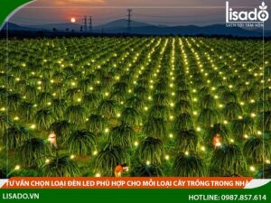Tư vấn chọn các loại đèn trồng cây trong nhà phù hợp nhất