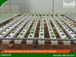 Các vấn đề thường gặp đối với hệ thống thuỷ canh bọt