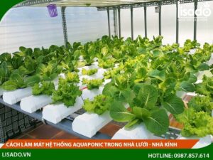 Cách làm mát hệ thống aquaponic trong nhà lưới – nhà kính