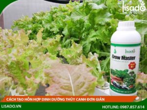Cách tạo chất dinh dưỡng cho cây trồng trong nước