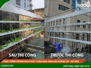 Công trình trồng rau thủy canh nhà anh Hải tại Giảng Võ – Hà Nội