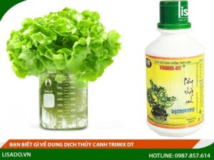 Bạn biết gì về dung dịch thủy canh Trimix dt?