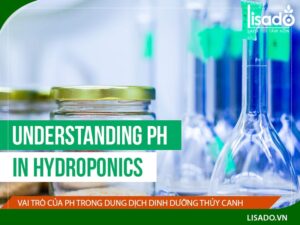 Độ ph của giấm thích hợp cho sự sinh trưởng của rau trong thủy canh