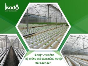 THI CÔNG – THIẾT KẾ NHÀ MÀNG NÔNG NGHIỆP