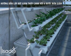 Hướng dẫn tự lắp đặt giàn thủy canh Lisado với 6 bước đơn giản