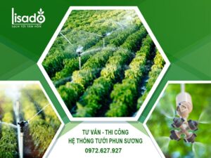 Thi công hệ thống tưới phun sương
