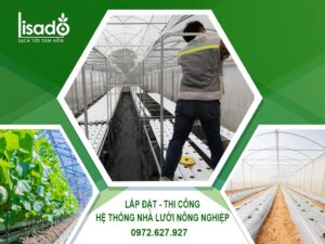 DỊCH VỤ THIẾT KẾ & THI CÔNG NHÀ LƯỚI