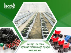 Lắp hệ thống tưới nhỏ giọt và chi phí đầu tư hệ thống tưới nhỏ giọt