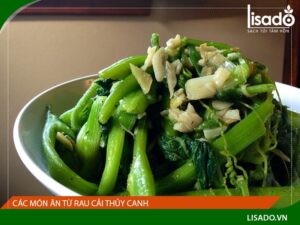 Món ngon mỗi ngày từ rau thủy canh