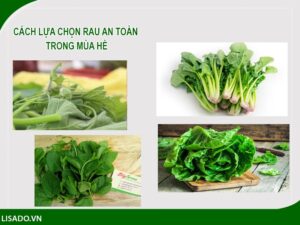 Mách mẹ cách chọn 6 loại rau an toàn có nhiều trong mùa hè