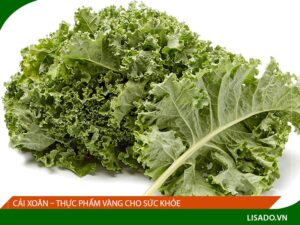 Cải xoăn – Thực phẩm vàng cho sức khỏe bạn không nên bỏ qua