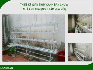 Thiết kế giàn thủy canh bán chữ A nhà Anh Thái (Nghi Tàm – Hà Nội)