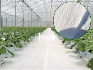 Bạt trải nền nhà kính – nhà màng