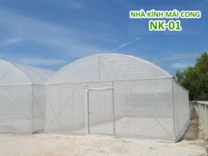 Nhà màng mái cong (mái vòm) NK-01