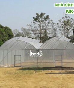 Nhà kính trồng rau 1 mái hở NK-02 | LISADO VIỆT NAM