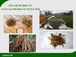 Cách làm trà măng tây – Lợi ích tuyệt vời trà măng tây mang lại cho sức khỏe