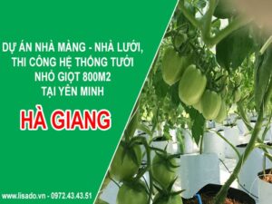 Dự án nhà màng – nhà lưới 800m2 tại Yên Minh, Hà Giang