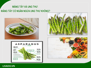 Măng tây có tác dụng gì? Măng tây có ngăn ngừa ung thư không?