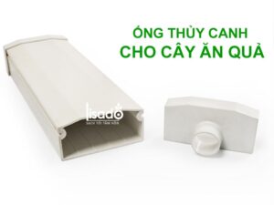 Ống thủy canh Hydroponics LSD 75×150 cho cây ăn quả