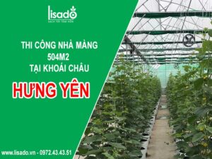Dự án thi công nhà màng 504m2 tại Khoái Châu – Hưng Yên